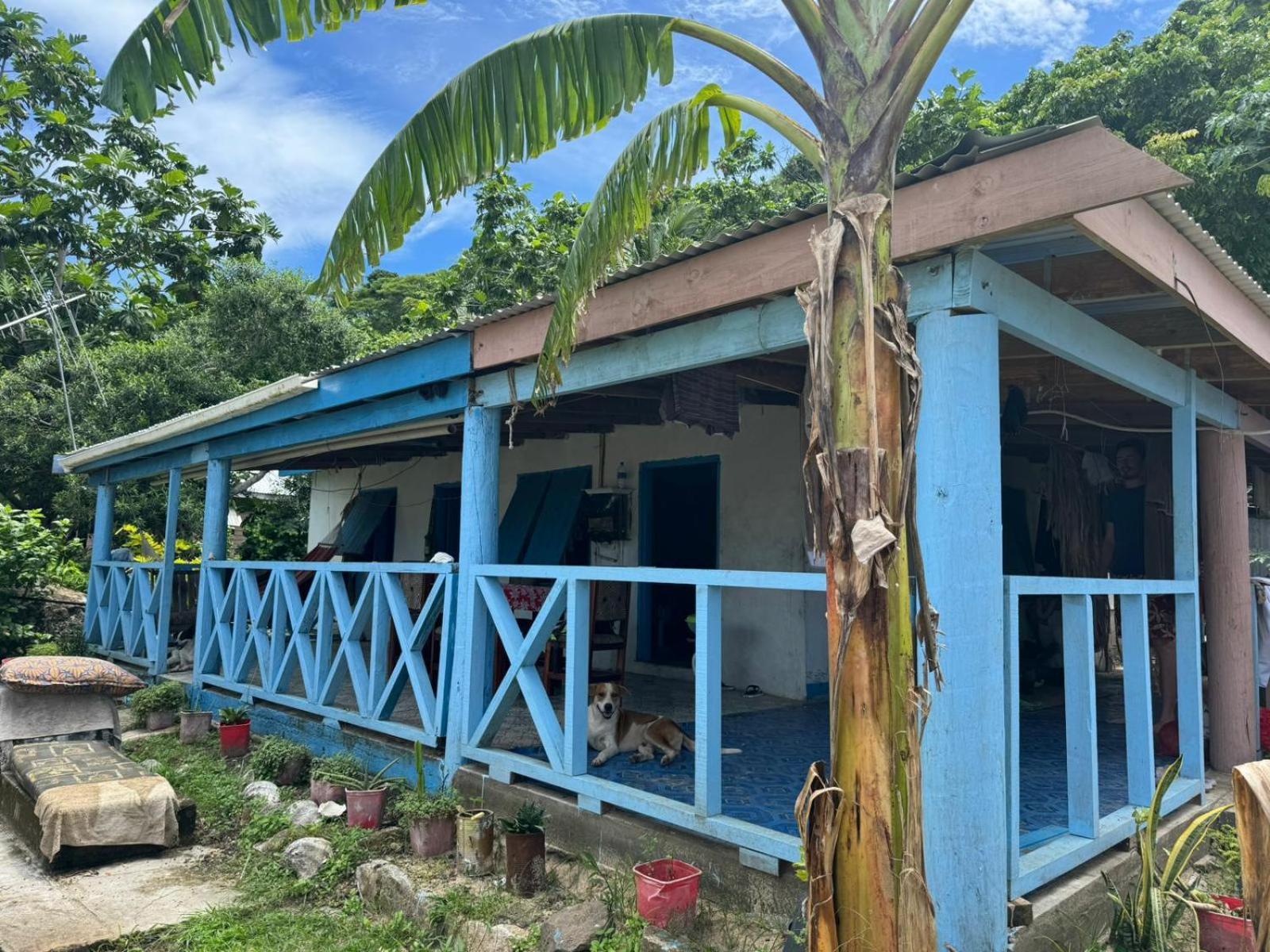 Lusis Homestay เลาโตกา ภายนอก รูปภาพ
